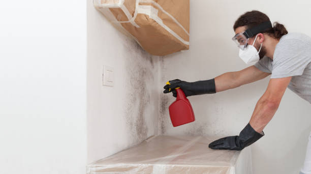 Professional Bathroom Mold Removal technician working in Highlands, TX