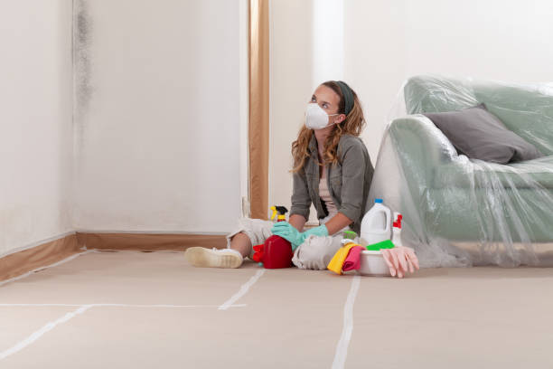 Reliable Bathroom Mold Removal contractor in Highlands, TX by Mold Remediation HQ